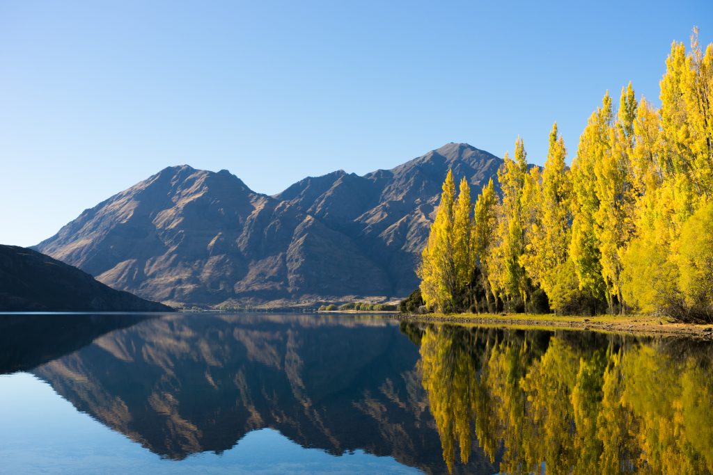 Can Australian Permanent Residents Live And Work In New Zealand